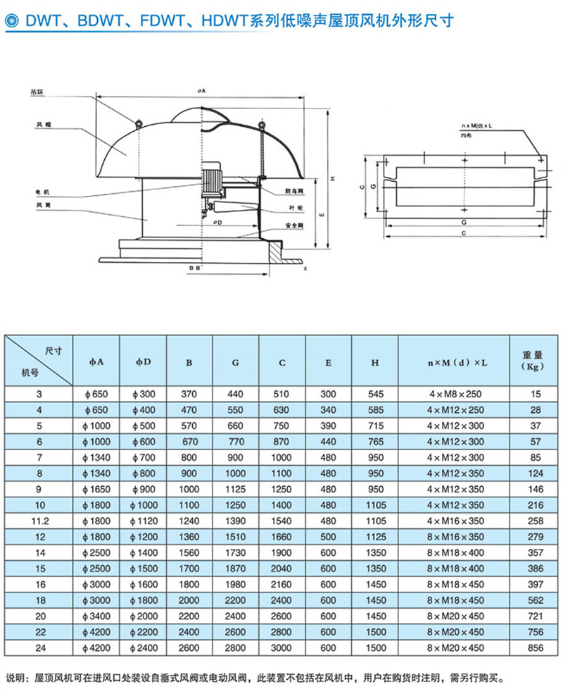 DWT-04.jpg